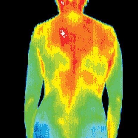 digital thermal infrared imaging