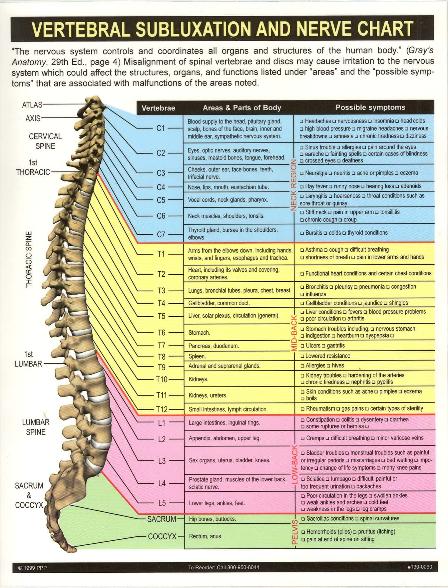 chiropractic vertebral subluxation and nerve chart